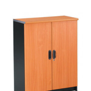 Lemari Arsip Sedang Pintu Panel type DOC-48